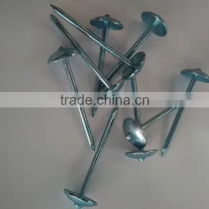 Galvanized Roofing Nails for Turkey Market thumbnail-2
