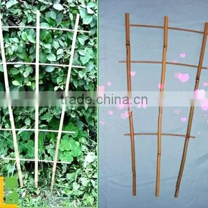 Bamboo Poles Flower Trellis for Supporting Plants thumbnail-4