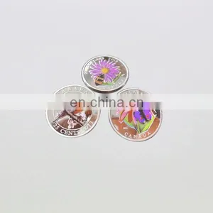 Metal Material and Painted Technique High Quality Foreign Military Challenge Coins thumbnail-1