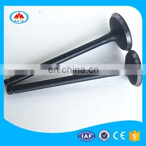Car Engine Parts Engine Valve for Kiaa Picanto Morning Rio Pride thumbnail-2