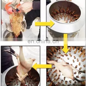 Chicken Plucker Machine/poultry Feather Remove for 5 Chicken at One Time thumbnail-3