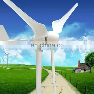 300w 12v 24v Alternative Energy Good Price Wind Generator for Home and Low Wind Area Vertical Wind Turbine thumbnail-1