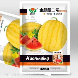 20pcs Watermelon Seeds f1 Hybrid Round Yellow Watermelon Seed for Planting thumbnail-2