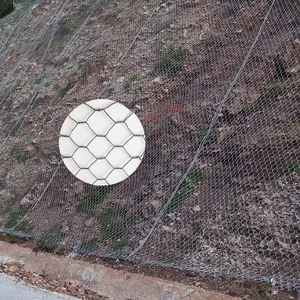 Factory Supply 60*80mm Galvanized Hexagonal Wire Mesh Barrier Plain Weave Technique for Slope Vegetation Zn-Al Woven Material thumbnail-4