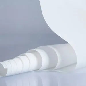 Pps (polyphenylene Sulfide) Film Has High Temperature Resistance and Stable Physical Properties, and Can Replace Imported Products thumbnail-5