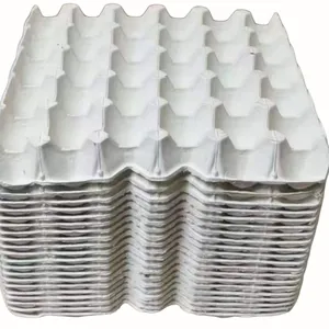 Molded Pulp Egg Tray for Poultry Farm 30 Cells Per Tray Biodegradable thumbnail-1