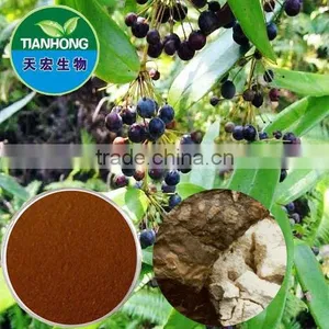 Tuckahoe Poria Cocos Extract of Good Quality thumbnail-1
