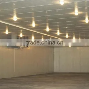 Used pu Sandwich Panel Cold Storage for Fruit and Vegetable thumbnail-5