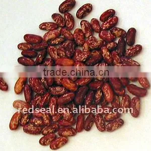 Safflower Kidney Beans thumbnail-1