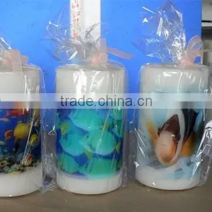 Top Selling High Speed Digital 3d Candle Printer for Sale thumbnail-4