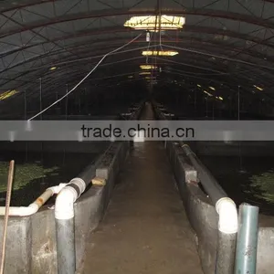 Indoor Fish Farms With Greenhouse thumbnail-1