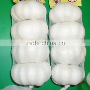 2015 New Crop Fresh Pure White Garlic thumbnail-1