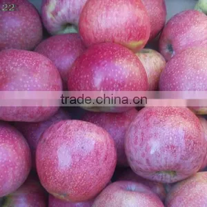2014 Qinguan Apple thumbnail-1