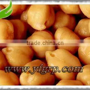Chinese Garbanzo Chickpea thumbnail-1