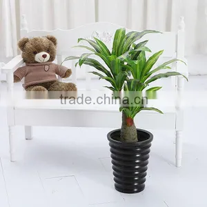 Artificial Dracaena Fragrans thumbnail-1