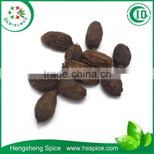 High Quality Dried Style Cooking Spices Black Cardamom Without Stem thumbnail-1
