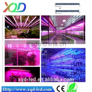 Shenzhen XQD 2015 Power Greehouse XQD Professional 12W Led Grow Light thumbnail-5