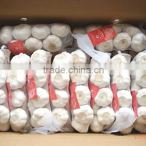 Garlic thumbnail-1