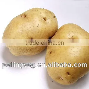 Fresh Vegetable Potato From China thumbnail-1