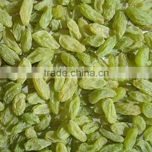 BEST QUALITY GREEN RAISIN FOR BEST RATE thumbnail-5