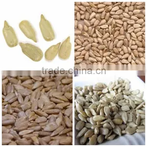 High Quality Sunflower Kernels Chinese Organic Sunflower Kernels thumbnail-3