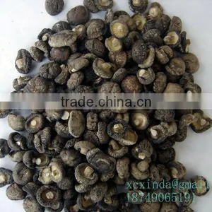 Dried Sping Mushroom thumbnail-1