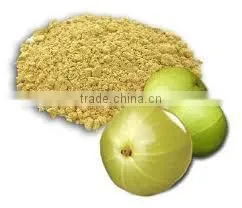 Natural Amla Powder thumbnail-1