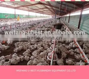 Hot Sale Agricultural Automatic Sheed Poultry Equipment thumbnail-1