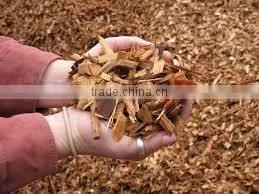 WOOD CHIPS 100% WOOD( ACACIA, EUCALYPTUS, PINE, RUBBER) BULK AND CHEAP PRICE thumbnail-1