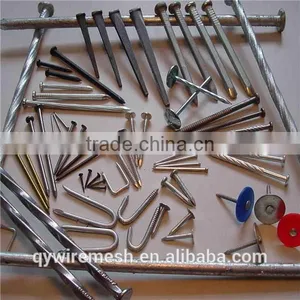 Good Quality Common Nail Factory 16boxes per Carton thumbnail-3