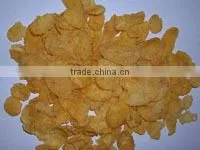New Design Corn Flakes Extruder Machine thumbnail-5