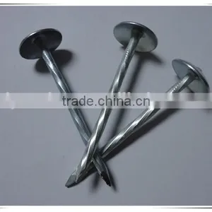 Cheaper Price Galvanized Roofing Nail With Umbrella Head thumbnail-4