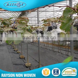 With 2% Or 3% UV Fruit Plant Protection From Animals And Frost thumbnail-3