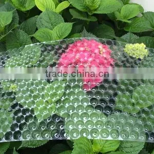434 Cell, 353 Cell Colorful PVC Rice Seedling Tray Type thumbnail-6