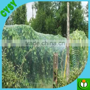 Plastic Anti Bird Net/Capture Bird Net/Agriculture Bird Net thumbnail-5