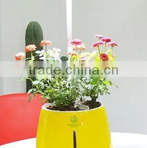 Plant Growth Light thumbnail-2