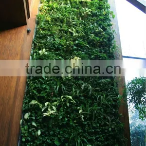 2015newest Fatory Price Artificial Grass Wall,indoor or Outdoor,vertical Green Wall thumbnail-1
