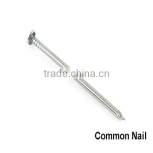 Wood Common Nail/Iron Nails, Wood Nails, Wire Nails thumbnail-1