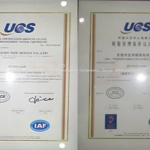 15-year Experience in Precision Plastic Mold Parts Manufacturering thumbnail-2