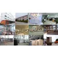 Shenzhen(Huizhou) Double Queen Sports Goods CO.,LTD company overview - view 1 thumbnail