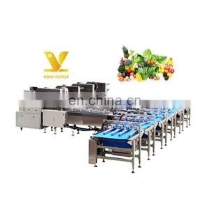 Automatic Professional Designed Vegetable and Fruit Packaging Line Machine thumbnail-1