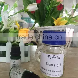 Natural and Pure Nepeta Cataria Essential Oil/ Extract Oil in Bulk thumbnail-4