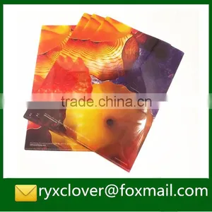 Factory Derictly Wholesale L Shape a4 Size File Folder pp Stationery thumbnail-4