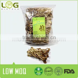 Hot Sale Dried Edible Tea Tree Mushrooms thumbnail-2