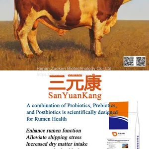 Rumen Booster thumbnail-2