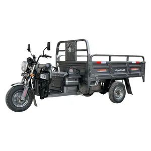 High Quality and Good Looking Electric Tricycle E-Trike 3 Wheeler Motortricycle For Cargo Transport thumbnail-1
