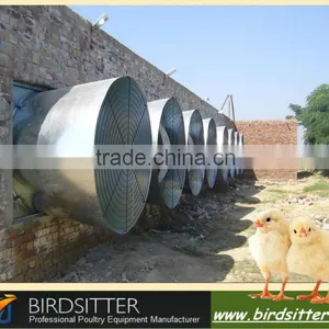 Effective Professional Perfect Chicken Farm Ventilation Design thumbnail-1