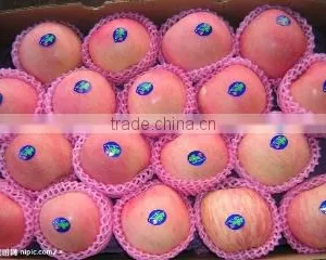 Tianshui Kairui Trade Co., Ltd. company overview - view 2 thumbnail