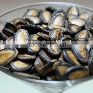 High Quality Japanese Melon Seeds Export thumbnail-3