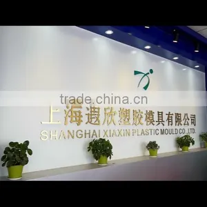 Shanghai Xiaxin Plastic Mould Co., Ltd. company overview - view 1 thumbnail